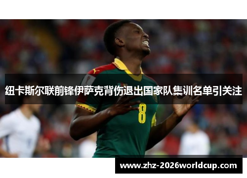 纽卡斯尔联前锋伊萨克背伤退出国家队集训名单引关注